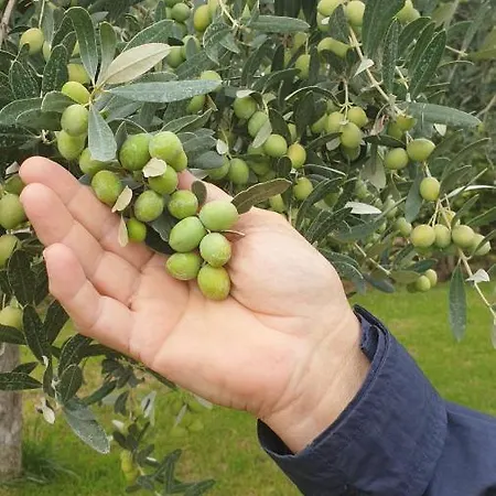 Ca' Del Volo Lägenhet Grezzana