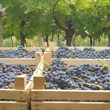 شقة Ca' Del Volo غريزانا