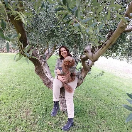 Lägenhet Ca' Del Volo